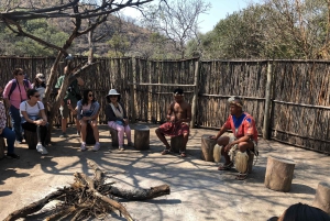 Expérience culturelle à la périphérie de Johannesburg