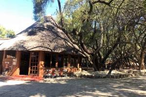 Experiência cultural nos arredores de Joanesburgo