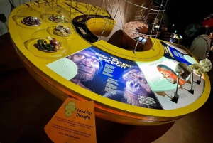 Village culturel, grottes de Sterkfontein et Maropeng