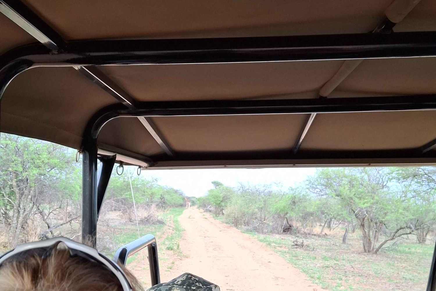 Dinokeng Safari with Transfer