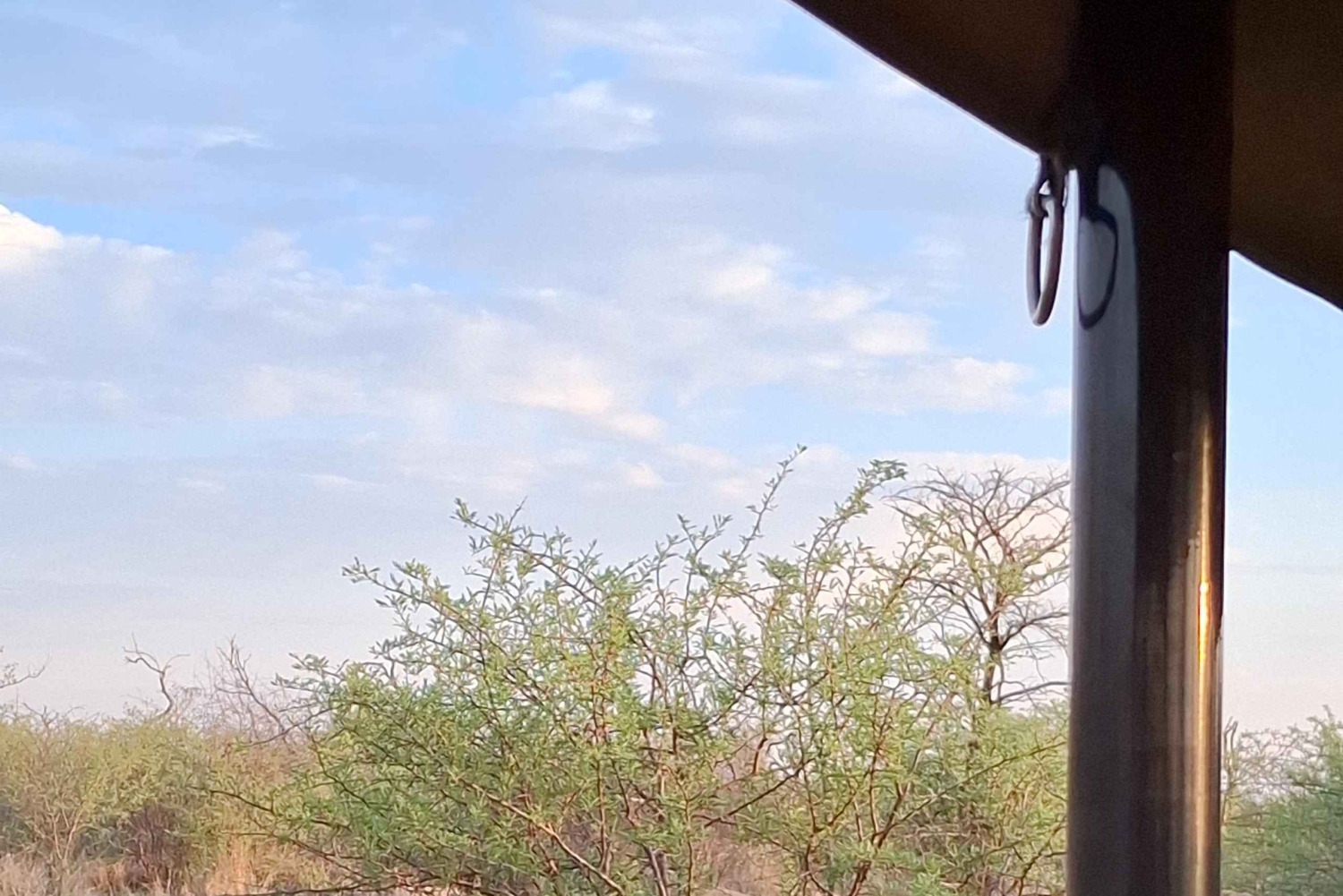 Dinokeng Safari with Transfer