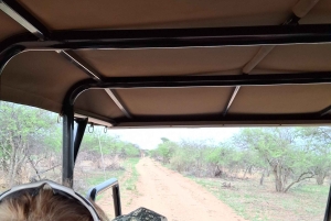 Dinokeng Safari with Transfer