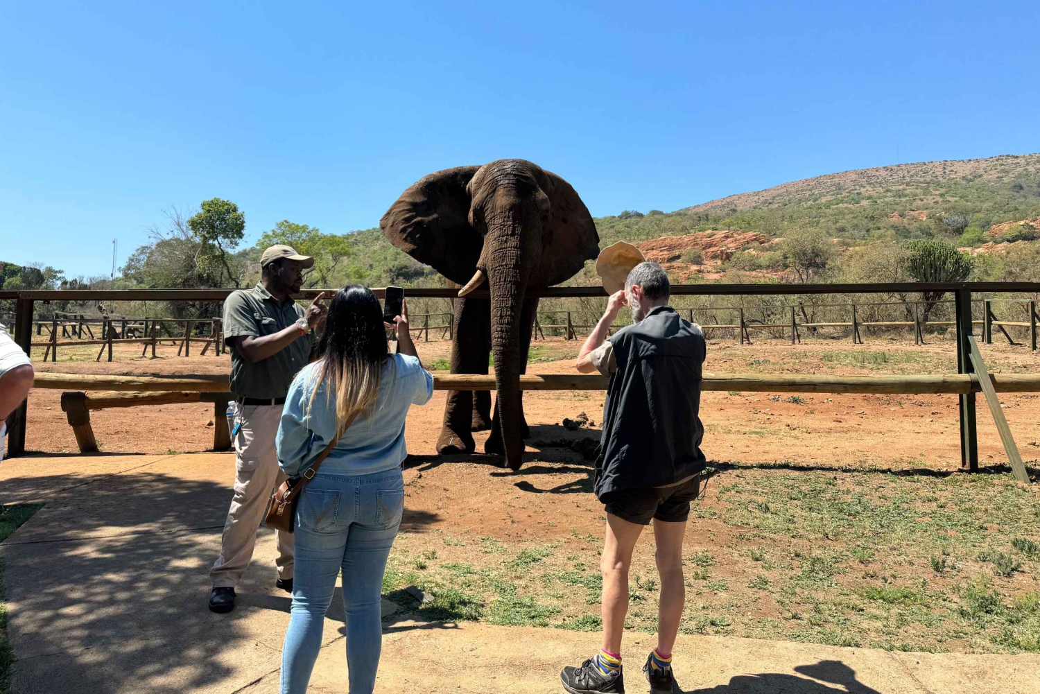 Excursión al Santuario de Elefantes desde Johannesburgo