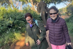 Elephant Sanctuary Tour from Johannesburg