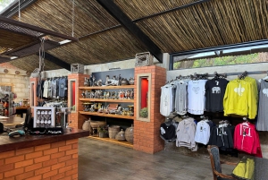 Excursión al Santuario de Elefantes desde Johannesburgo