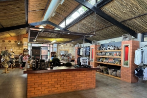 Excursión al Santuario de Elefantes desde Johannesburgo