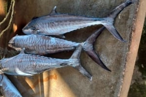 Pesca - D'altura - Mozambico - 6 notti