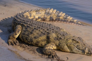 ケープタウン発：ガーデンルート経由ヨハネスブルグ10日間ツアー