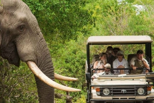 Van Kaapstad: 12-daags avontuur naar Johannesburg