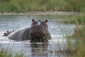 ケープタウン発：ヨハネスブルグへの12日間のプライベートツアー
