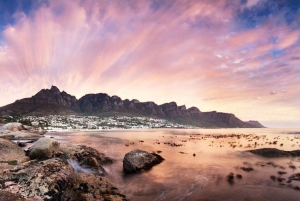 From Cape Town: Cape Peninsula Full-Day Guided Tour