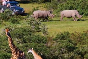 Från Kapstaden: 2-dagars safaritur till Kruger National Park