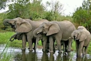 Från Kapstaden: 12-dagars rundtur till Johannesburg med övernattning