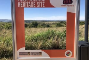 From Johannesburg: Cradle of Humankind and Lion Safari
