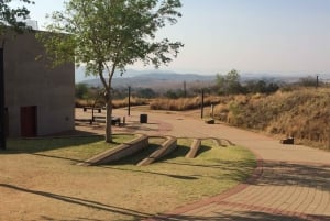 From Jo'burg: Lion Park & Cradle of Humankind with Lunch