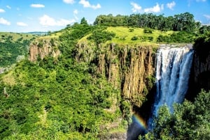 Von Johannesburg: 12-tägige Safari nach Kapstadt über Durban