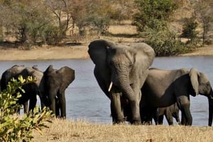 Fra Johannesburg: 15-dagers overlandstur til Cape Town