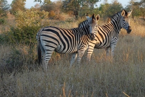 Fra Johannesburg: 15-dagers overlandstur til Cape Town