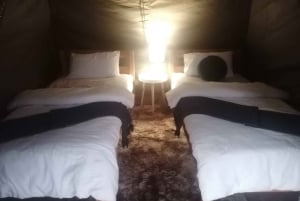 From Johannesburg: 2-Day Kruger National Park Tented Safari