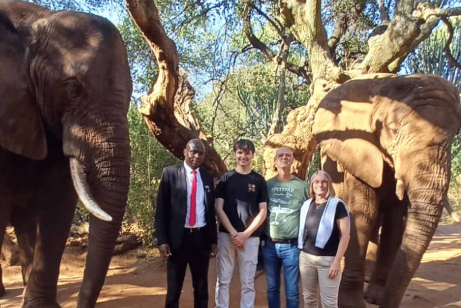 Fra Johannesburg: 2 timer med elefantinteraksjon