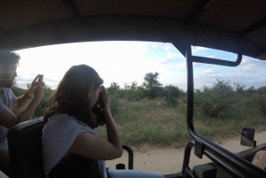 Van Johannesburg: driedaagse budgetsafari naar het Kruger National Park