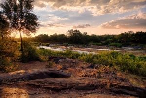 Fra Johannesburg: 3-dages budget-safari i Kruger Nationalpark