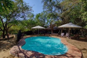 Johannesburgista: Krugerin kansallispuiston 3 päivän safari: 3-Day Budget Kruger National Park Safari