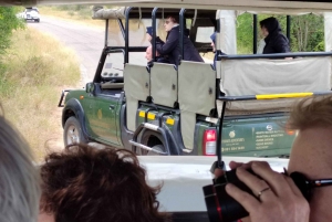 Fra Johannesburg: 3-dagers safari i Kruger nasjonalpark