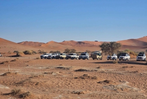 De Joanesburgo: Passeio de 3 dias pela Namíbia