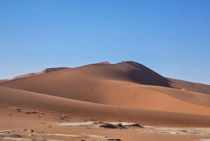 From Johannesburg : 6 Day Namibia Tour