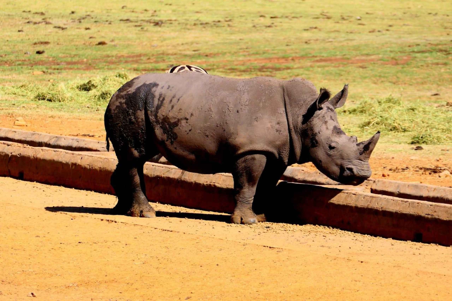 Vanuit Johannesburg: 6-daagse luxe Kruger Park safari