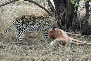 From Johannesburg: 6-Days luxury Kruger Park Safari