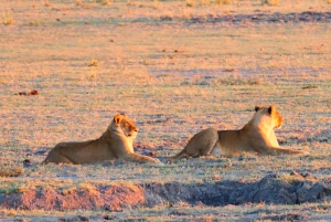 Vanuit Johannesburg: 6-daagse luxe Kruger Park safari