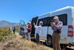 Vanuit Johannesburg: 6-daagse luxe Kruger Park safari