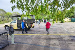 Vanuit Johannesburg: 6-daagse luxe Kruger Park safari