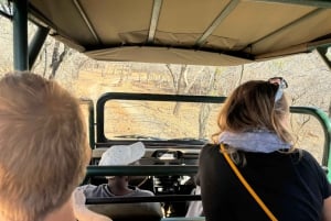 From Johannesburg: Cheetah Tour