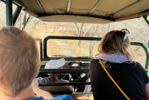 Z Johannesburga: Wycieczka z gepardem