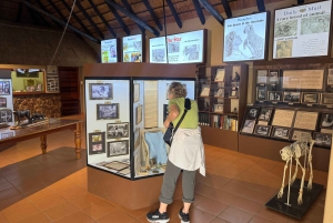 Z Johannesburga: Wycieczka z gepardem