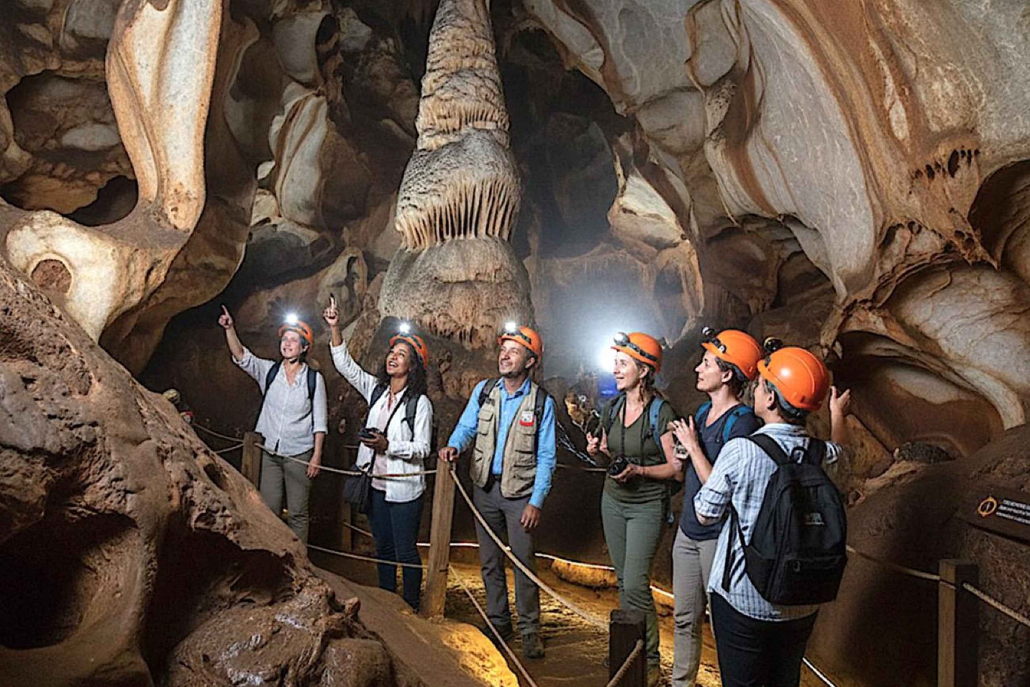 ヨハネスブルグ発：人類発祥の地とライオンサファリ