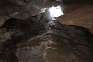 Depuis Johannesburg : Le berceau de l'humanité et le safari des lions