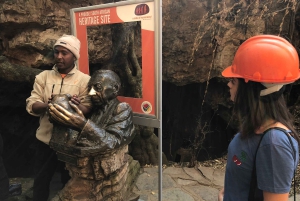 ヨハネスブルグ発：人類発祥の地とライオンサファリ