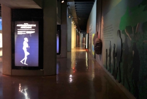 ヨハネスブルグ発：人類発祥の地とライオンサファリ