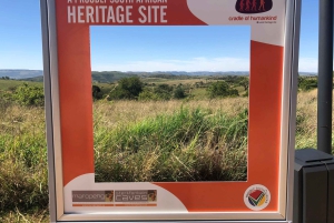 ヨハネスブルグ発：人類発祥の地とライオンサファリ