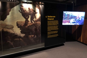 ヨハネスブルグ発：人類発祥の地とライオンサファリ