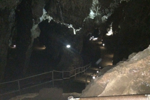 ヨハネスブルグ発：人類発祥の地とライオンサファリ