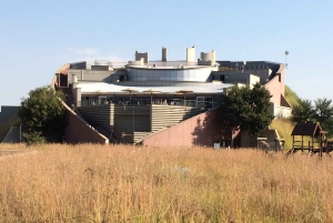 ヨハネスブルグ発：人類発祥の地とライオンサファリ