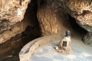 ヨハネスブルグ発：人類発祥の地とライオンサファリ