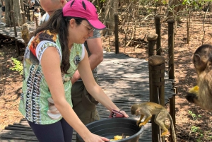 From Johannesburg: Elephant and Monkey Sanctuary Day Trip
