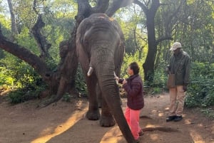 From Johannesburg: Elephant and Monkey Sanctuary Day Trip