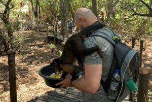 Из Йоханнесбурга: однодневная поездка в заповедник слонов и обезьян